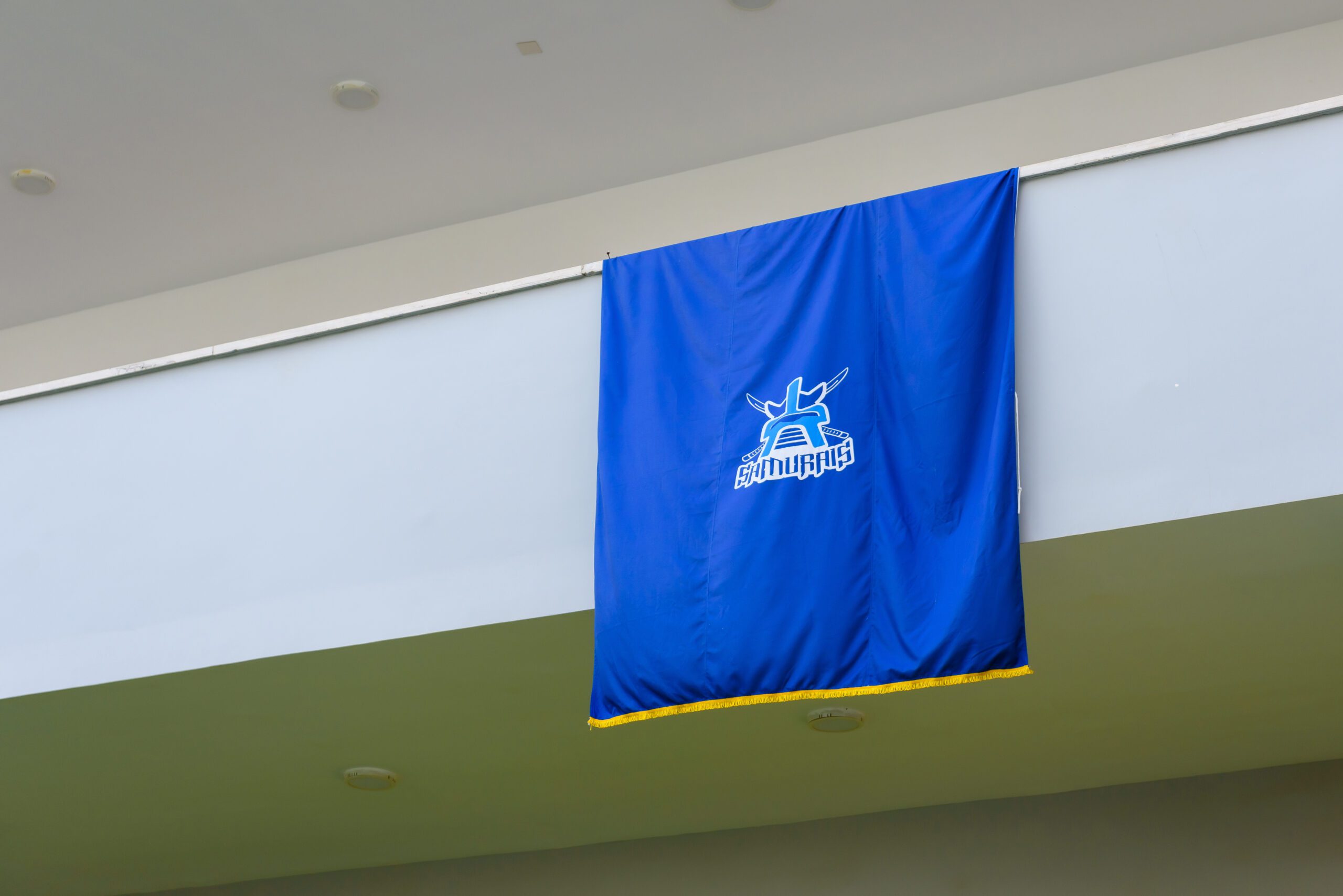 EIS Sports Day 10 scaled